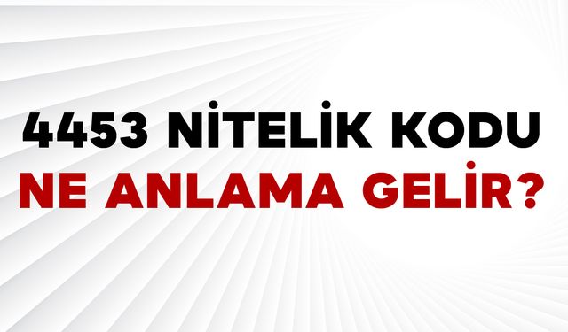 4453 Nitelik Kodu Ne Anlama Gelir?