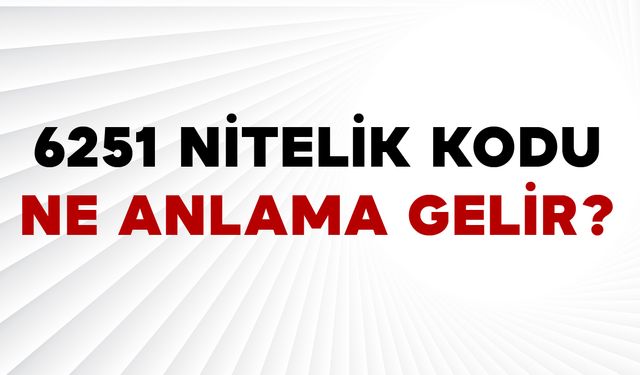 6251 Nitelik Kodu Nedir?