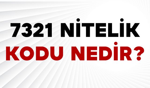 7321 Nitelik Kodu Nedir?
