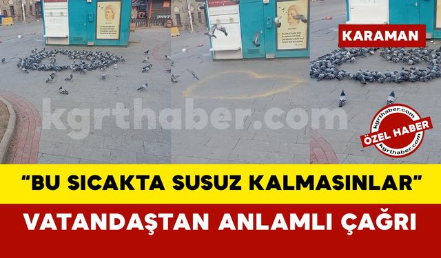 "Bu Sıcakta Susuz Kalmasınlar”: Karamanlı Vatandaştan Anlamlı Çağrı