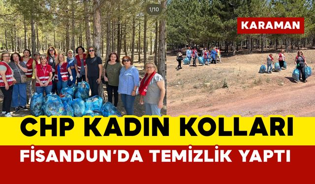 CHP Karaman Kadın Kolları Fisandun’da Çevre Temizliği Yaptı