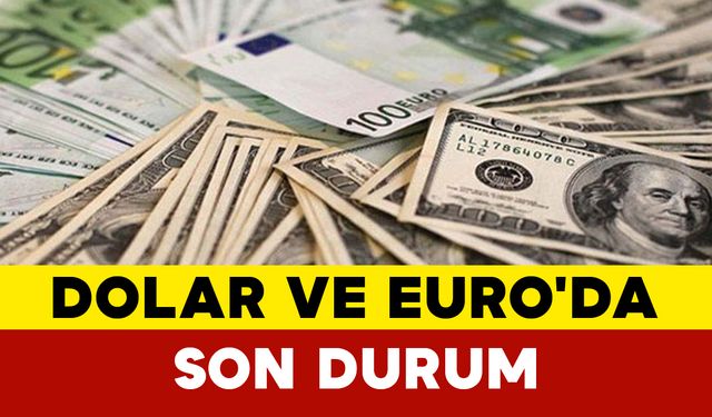 Dolar ve Euro'da Güncel Durum
