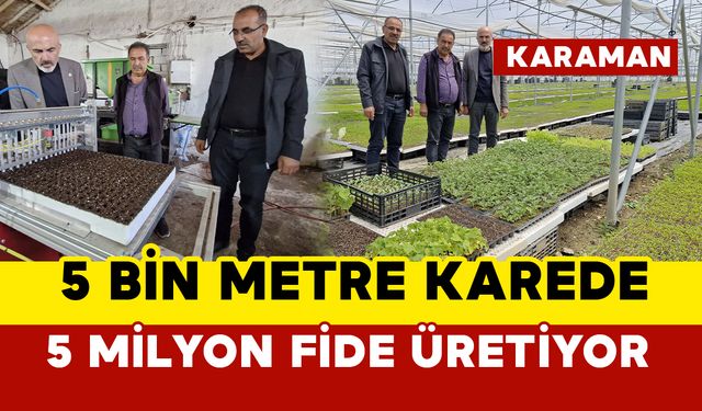 Karaman'da 5 bin metre karede 5 milyon fide üretiyor
