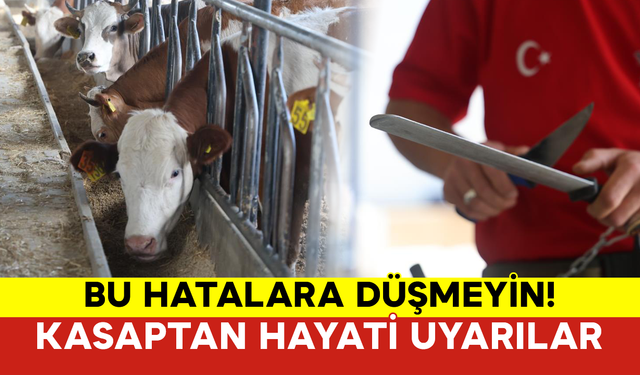 Kurban Keserken Bu Hatalara Düşmeyin: Kasaptan Hayati Uyarılar