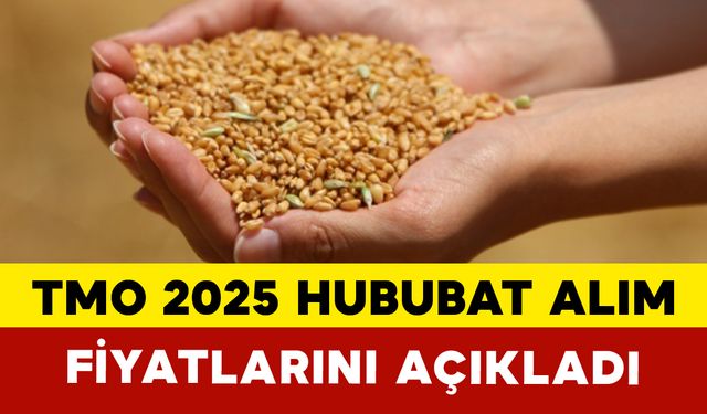 TMO 2025 Hububat Alım Fiyatlarını Açıkladı