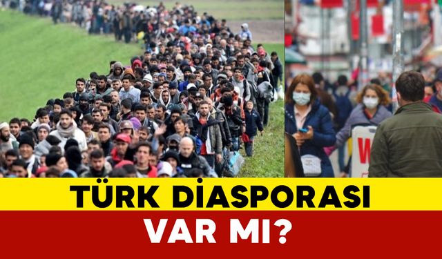 Türk Diasporası Var mı?
