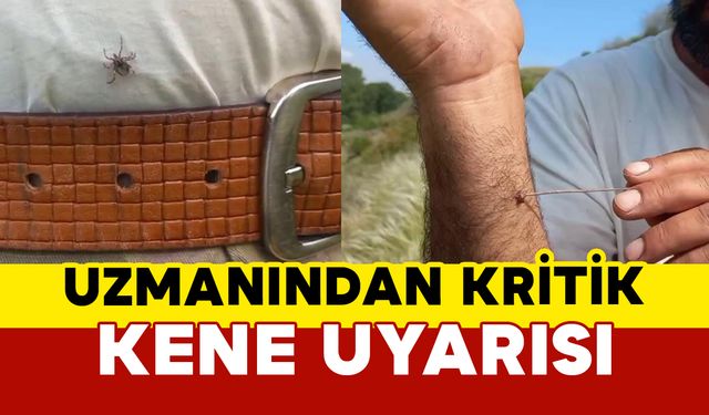 Uzmanından kritik kene uyarısı