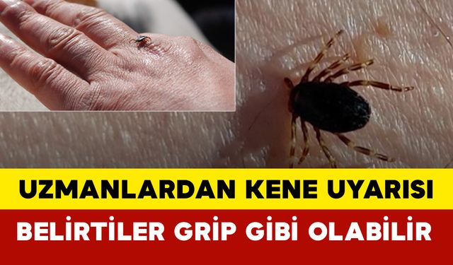Uzmanlardan Kene Uyarısı: Belirtiler Grip Gibi Olabilir