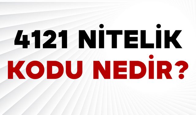 4121 Nitelik Kodu Nedir?