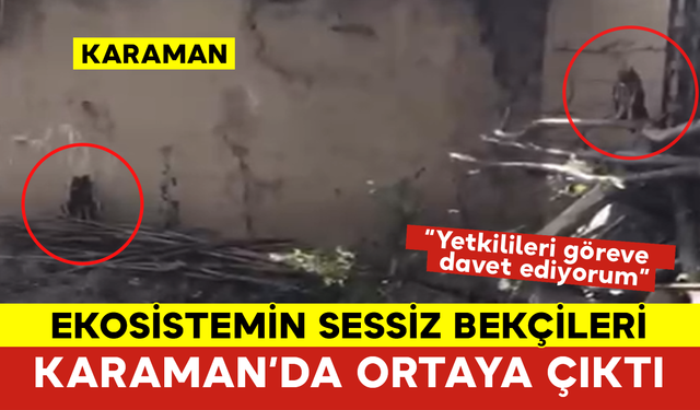 Ekosistemin Sessiz Bekçileri Karaman’da Ortaya Çıktı