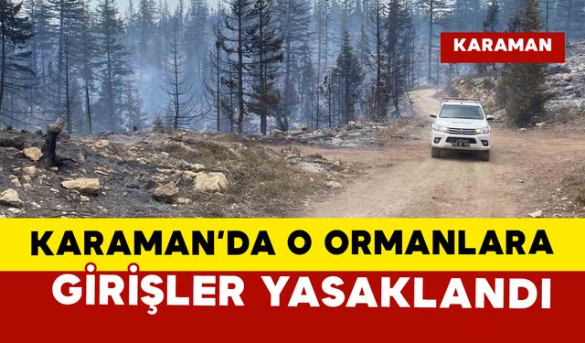 Karaman’da o ormanlara girişler yasaklandı