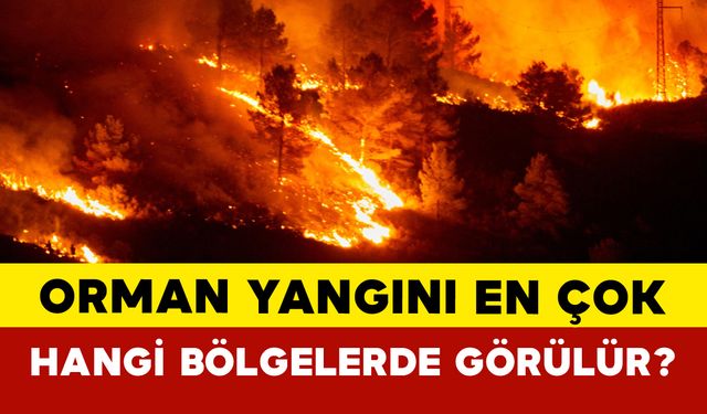 Orman yangını en çok hangi bölgelerde görülür?