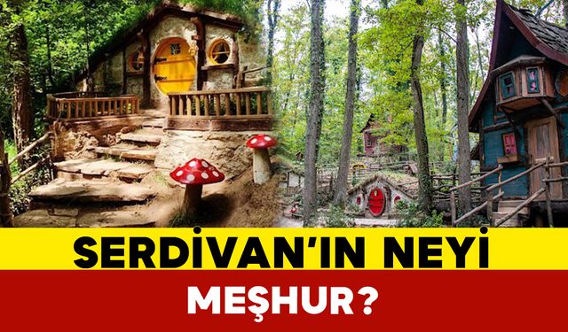 Serdivan'ın Neyi Meşhur?