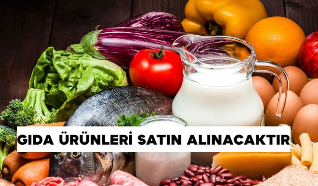 GIDA ÜRÜNLERİ SATIN ALINACAKTIR