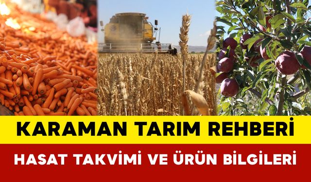 Karaman Tarım Rehberi: Hasat Takvimi ve Ürün Bilgileri