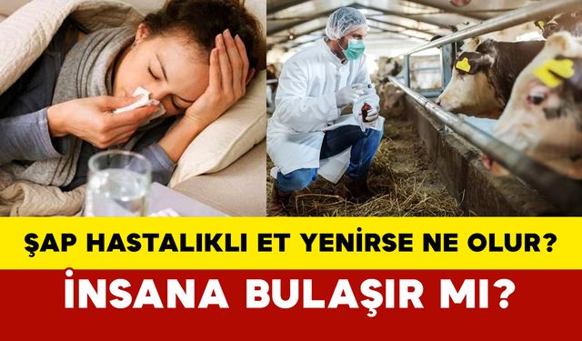 Şap Hastalıklı Et Yenirse Ne Olur? İnsana Bulaşır mı?