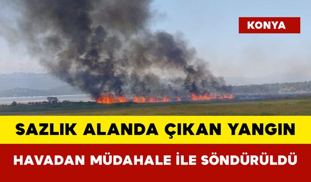Sazlık Alanda Çıkan Yangın Havadan Müdahale ile Söndürüldü