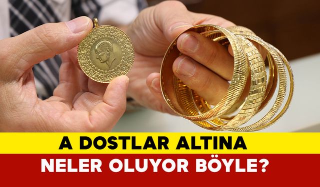 A Dostlar, Altına Neler Oluyor Böyle?