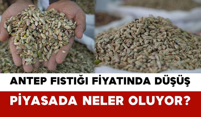 Antep Fıstığı Fiyatında Düşüş: Piyasada Neler Oluyor?