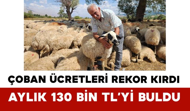 Çoban Ücretleri Rekor Kırdı: Aylık Ücret 130 Bin TL’yi Buldu