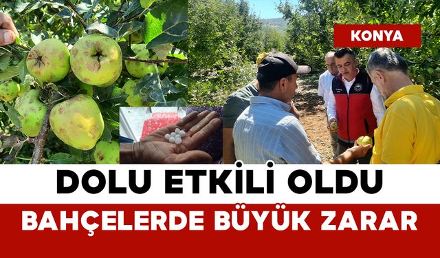 Dolu Etkili Oldu: Bahçelerde Büyük Zarar