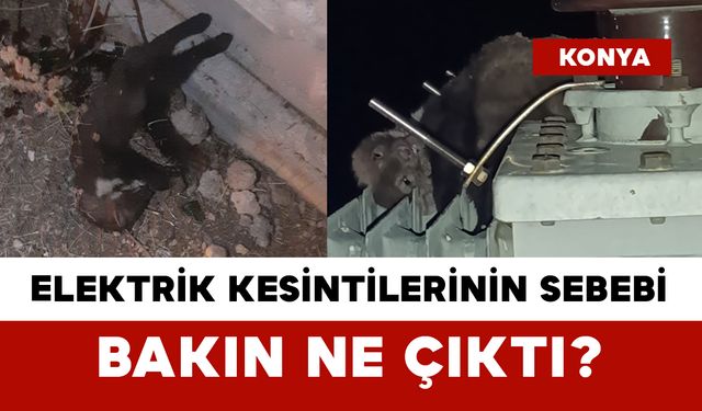 Elektrik Kesintilerinin Sebebi Bakın Ne Çıktı?