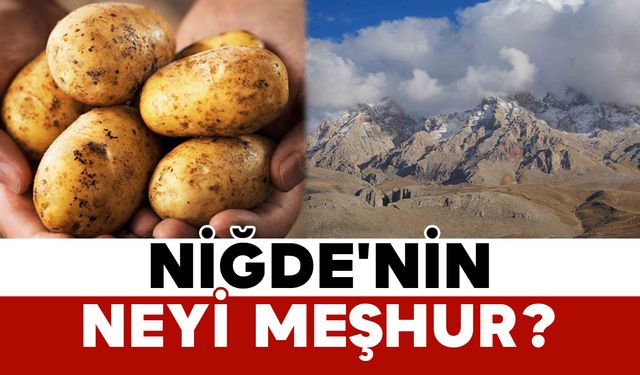 Niğde'nin neyi meşhur?