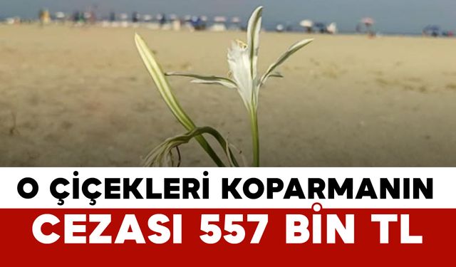 O Çiçekleri Koparmanın Cezası 557 Bin TL