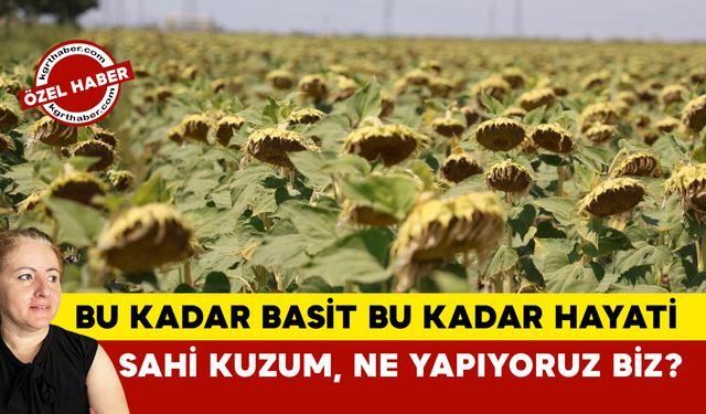 Sahi Kuzum, Ne Yapıyoruz Biz?