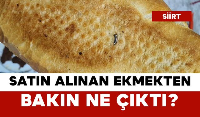 Satın Alınan Ekmekten Bakın Ne Çıktı?