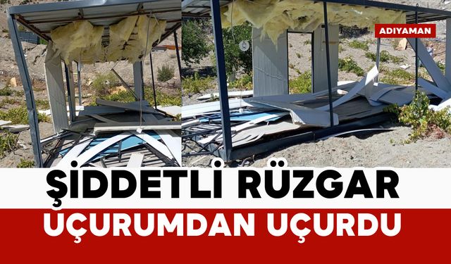 Şiddetli rüzgar konteyneri uçurumdan uçurdu