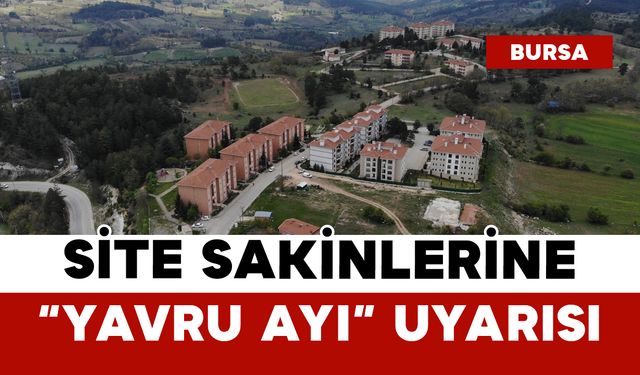 Site Sakinlerine “Yavru Ayı” Uyarısı
