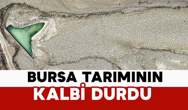 Bursa tarımının kalbi durdu