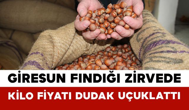 Giresun Fındığı Zirvede: Kilo Fiyatı Dudak Uçuklattı
