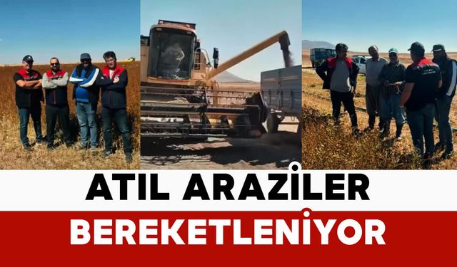 Karaman’da Atıl Araziler Karabuğdayla Bereketleniyor