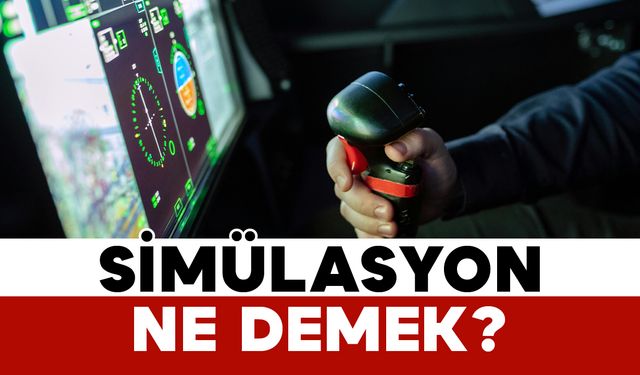 Simülasyon Ne Demek?
