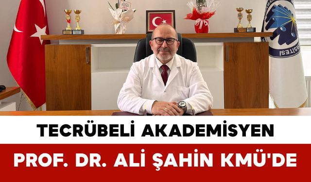 Tecrübeli Akademisyen Prof. Dr. Ali Şahin Kmü'de