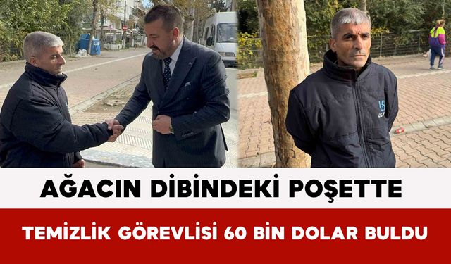 Ağacın Dibindeki Şüpheli Poşette Temizlik Görevlisi 60 Bin Dolar Buldu