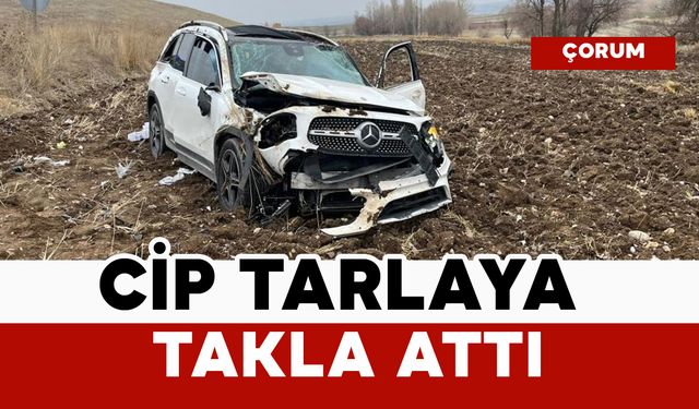 Cip tarlaya takla attı: 2 yaralı