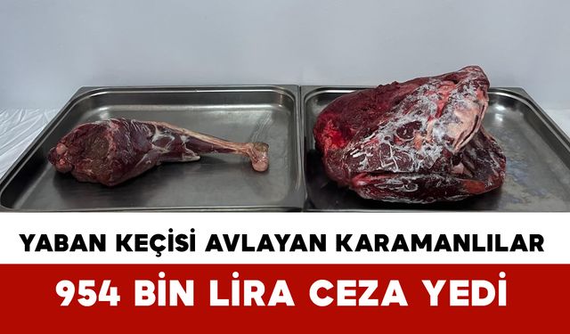 Kaçak Yaban Keçisi Avına 954 Bin TL Ceza