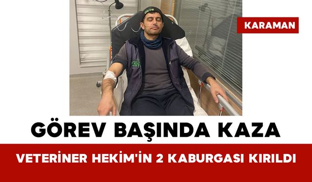 Karaman’da Görev Başında Kaza: Veteriner Hekim'in 2 Kaburgası Kırıldı