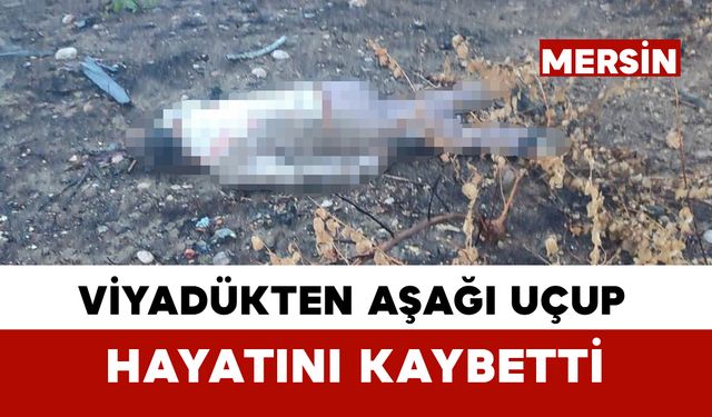 Kaza yapan aracın sürücüsü 30 metrelik köprünün altında ölü bulundu