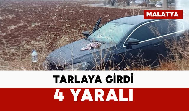 Kontrolden çıktı, tarlaya girdi: 4 yaralı