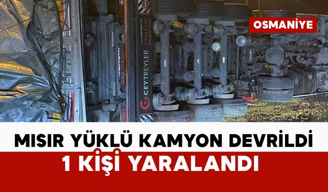 Mısır yüklü kamyon devrildi: 1 yaralı
