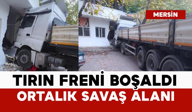 Tırın freni boşaldı: ortalık savaş alanına döndü