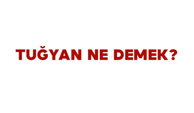 Tuğyan Ne Demek? Tuğyan İsminin Anlamı Nedir?