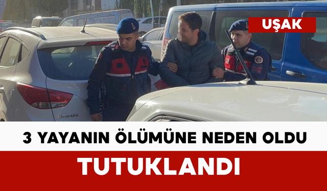 3 yayanın ölümüne neden olan sürücü tutuklandı