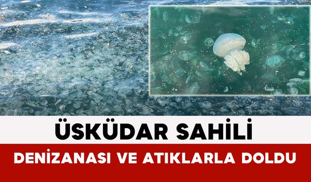 Üsküdar Sahili Denizanası ve Atıklarla Doldu