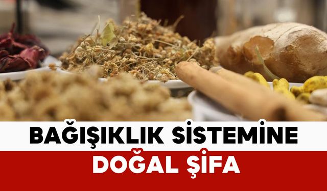 Bağışıklık sistemine doğal şifa: bitki çayı