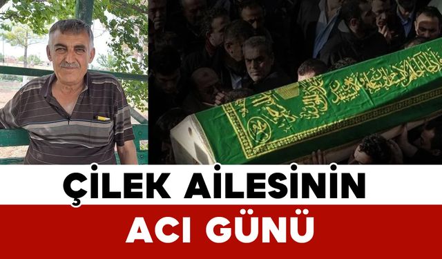 Çilek Ailesinin Acı Günü